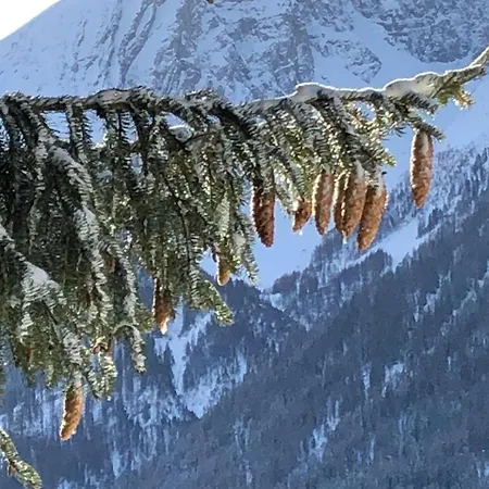 Ξενοδοχείο Ladina 3*